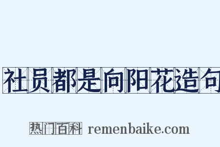 社员都是向阳花造句是什么意思的图片